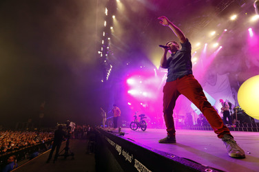 Björn Beton / Björn Warns, König Boris / Boris Lauterbach, Dokter Renz / Martin Vandreier (Fettes Brot)