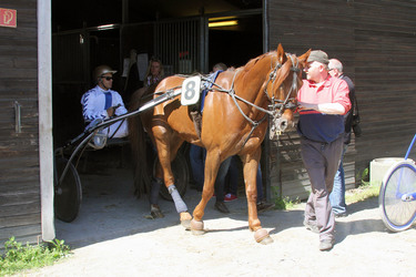 Bild Renntag, Hamburg