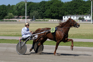 Bild Renntag, Hamburg