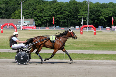 Bild Renntag, Hamburg