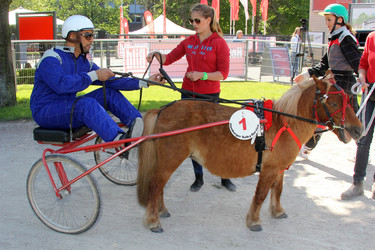 Bild Renntag, Hamburg
