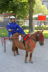 Bild Renntag, Hamburg