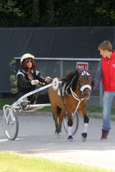 Bild Renntag, Hamburg