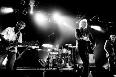 Bob Geldof Konzert, Osnabrück