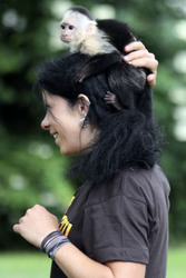 Justin Biebers Affe Mally im Serengeti-Park, Hodenhagen