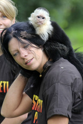 Justin Biebers Affe Mally im Serengeti-Park, Hodenhagen
