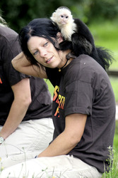 Justin Biebers Affe Mally im Serengeti-Park, Hodenhagen
