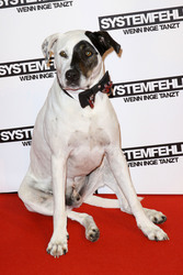 'Systemfehler - wenn Inge tanzt' Premiere, Köln