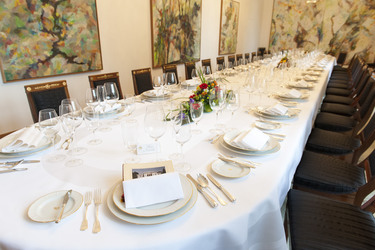 Villa Hammerschmidt , Bonn