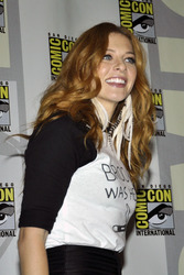 'Under the Dome' Panel, San Diego Comic Con