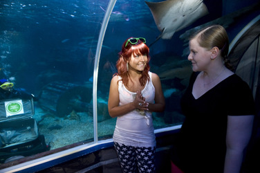 Lisa Wohlgemuth bei der Sea Life Aktion 'Unter Wasser unterm Hammer', Berlin