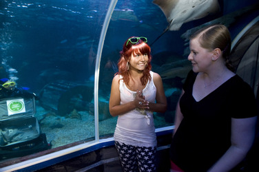 Lisa Wohlgemuth bei der Sea Life Aktion 'Unter Wasser unterm Hammer', Berlin