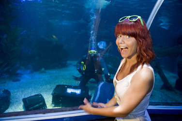 Lisa Wohlgemuth bei der Sea Life Aktion 'Unter Wasser unterm Hammer', Berlin