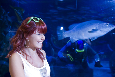 Lisa Wohlgemuth bei der Sea Life Aktion 'Unter Wasser unterm Hammer', Berlin
