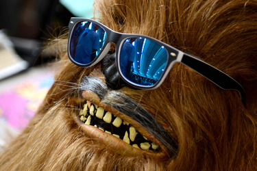 Star Wars Celebration Europe, Essen