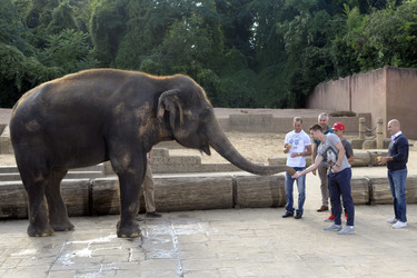 Hannover 96 Spieler im Zoo, Hannover