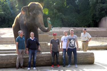 Hannover 96 Spieler im Zoo, Hannover