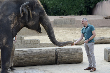 Hannover 96 Spieler im Zoo, Hannover