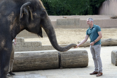 Hannover 96 Spieler im Zoo, Hannover