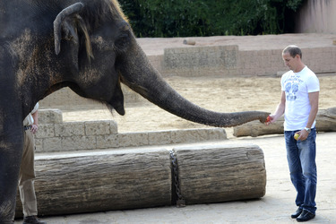 Hannover 96 Spieler im Zoo, Hannover