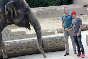 Hannover 96 Spieler im Zoo, Hannover
