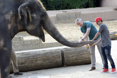 Hannover 96 Spieler im Zoo, Hannover