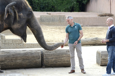 Hannover 96 Spieler im Zoo, Hannover