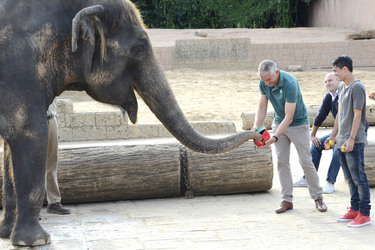 Hannover 96 Spieler im Zoo, Hannover