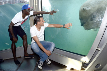 Hannover 96 Spieler im Zoo, Hannover