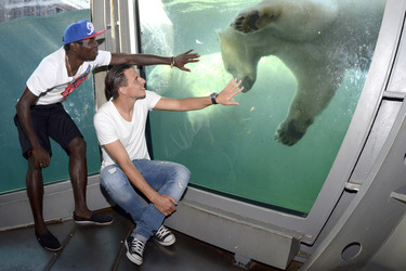 Hannover 96 Spieler im Zoo, Hannover