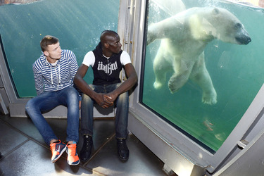 Hannover 96 Spieler im Zoo, Hannover