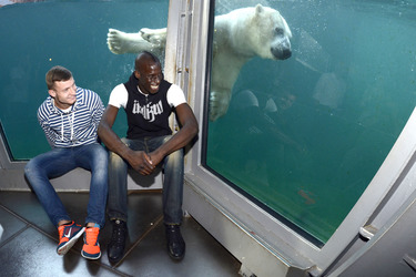 Hannover 96 Spieler im Zoo, Hannover