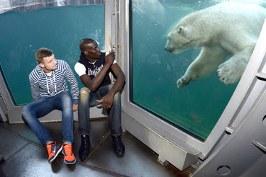 Hannover 96 Spieler im Zoo, Hannover