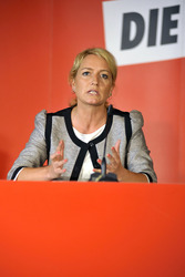 Die Linke Pressekonferenz, Berlin