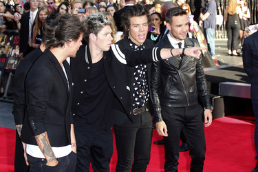 Louis Tomlinson, Zayn Malik, Niall Horan, Harry Styles, Liam Payne (One Direction)