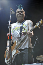Hamburg Crash Fest