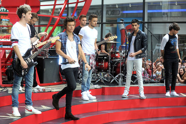 Niall Horan, Harry Styles, Liam Payne, Zayn Malik, Louis Tomlinson (One Direction)