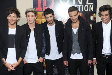 Louis Tomlinson, Niall Horan, Zayn Malik, Liam Payne, Harry Styles (One Direction)