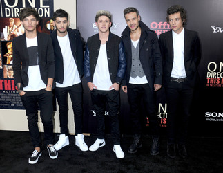 Louis Tomlinson, Zayn Malik, Niall Horan, Liam Payne, Harry Styles (One Direction)