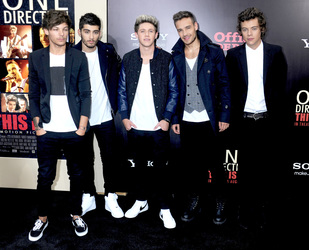 Louis Tomlinson, Zayn Malik, Niall Horan, Liam Payne, Harry Styles (One Direction)