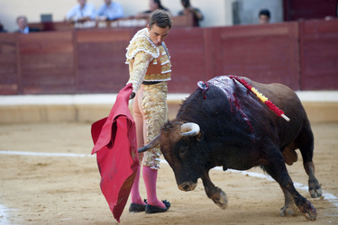 Stierkampf, Alcalá de Henares