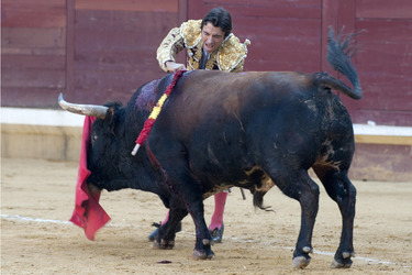 Stierkampf, Alcalá de Henares