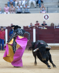 Stierkampf, Alcalá de Henares
