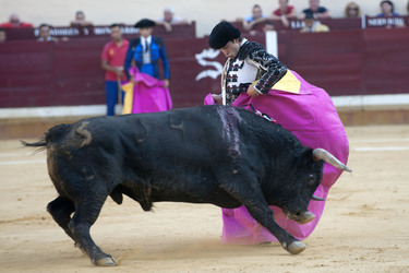 Stierkampf, Alcalá de Henares