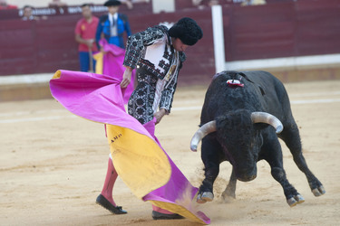 Stierkampf, Alcalá de Henares