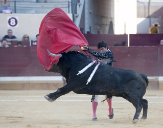 Stierkampf, Alcalá de Henares