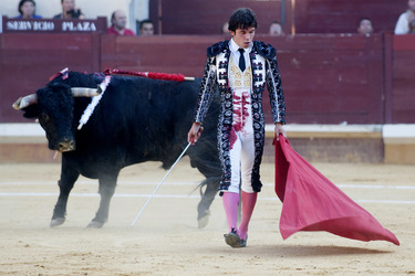 Stierkampf, Alcalá de Henares