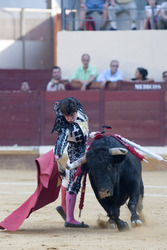 Stierkampf, Alcalá de Henares