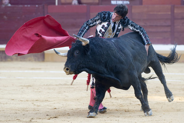 Stierkampf, Alcalá de Henares