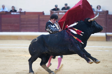Stierkampf, Alcalá de Henares
